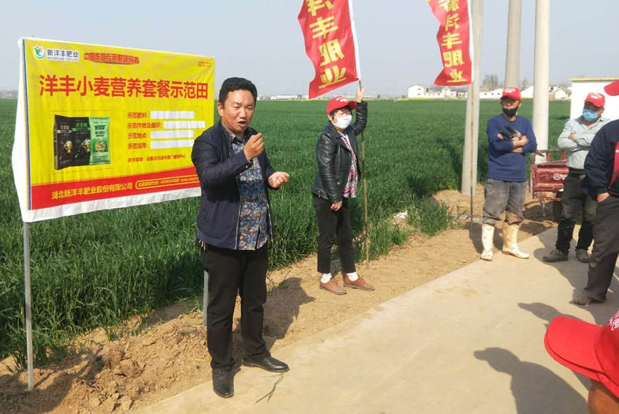 小麦示范田观摩.jpg