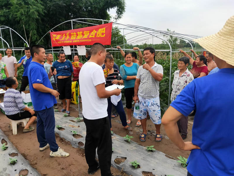 田间观摩6_副本.jpg