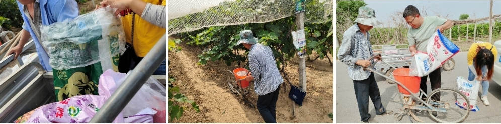 5月份，技术员跟踪指导施肥.jpg