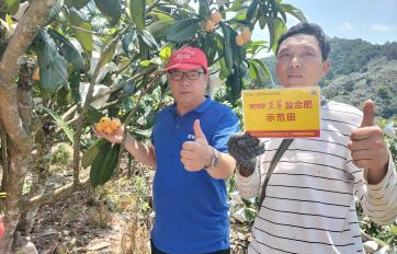 林老板为洋丰至尊点赞 .jpg